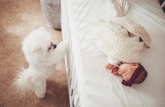Iowa Maternity-Newborn Photography