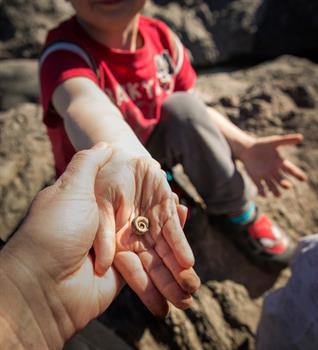 Des Moines, Iowa Family Photographer